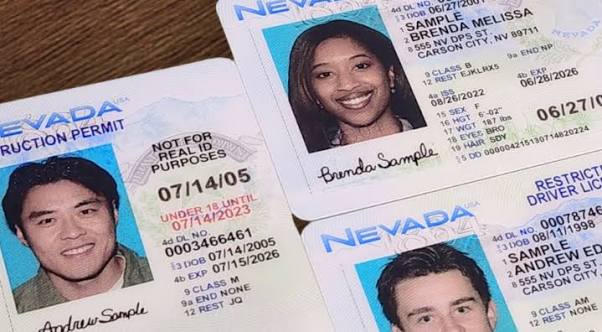 How Much Is a Duplicate Driver's License? Cost, Process & Requirements