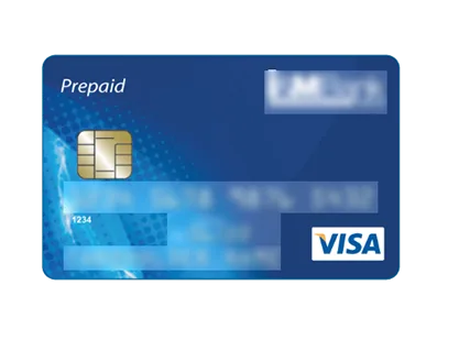 1 Card  Total Balance: $3 100