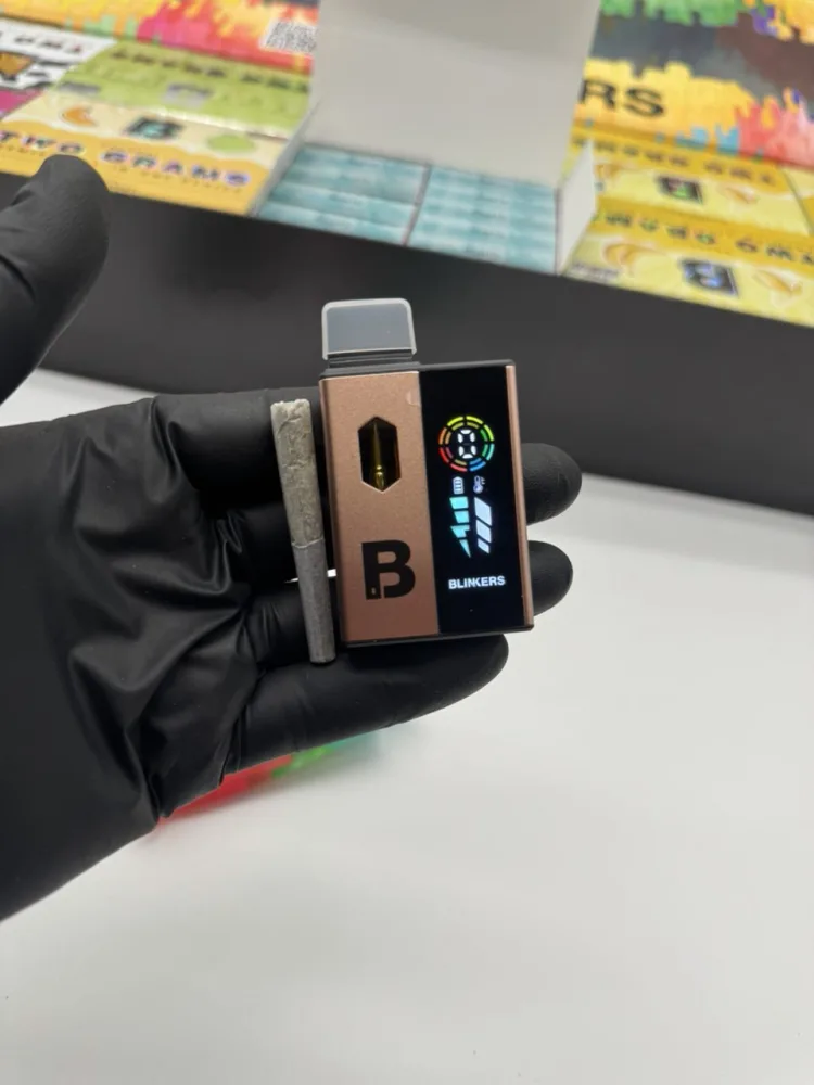 BLINKERS DISPOSABLE 2G WITH HASH HOLE