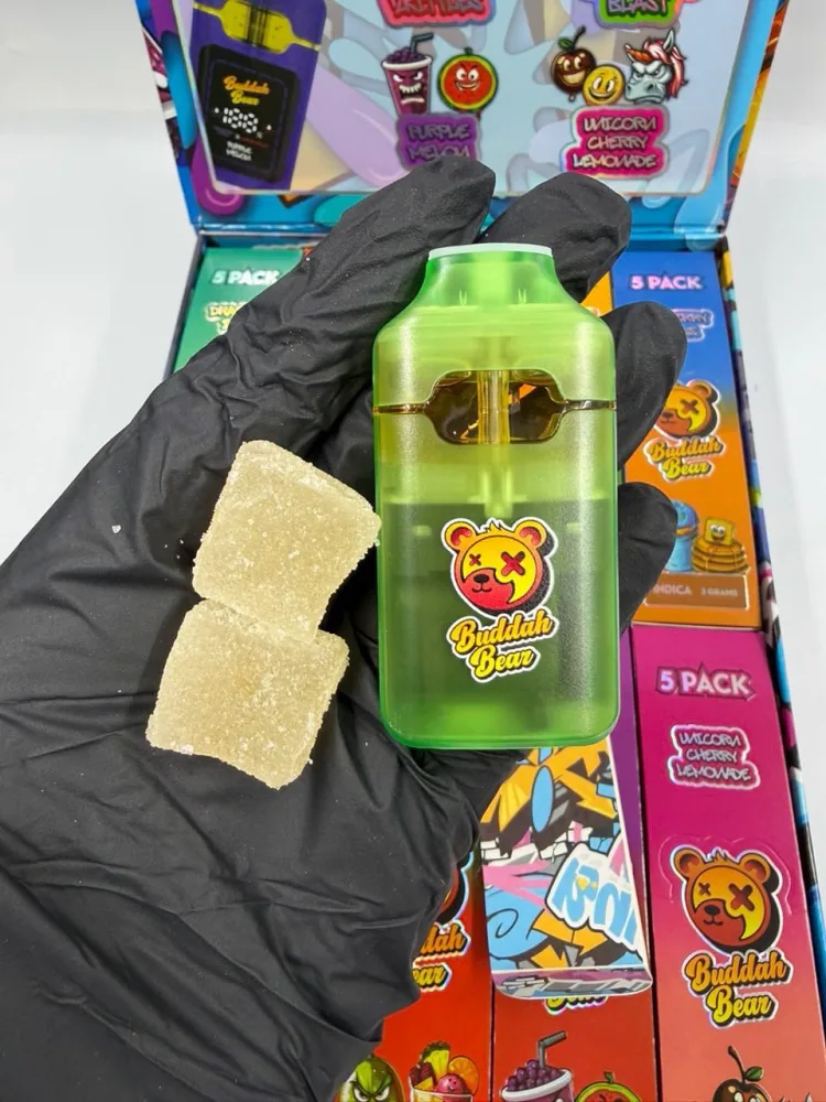 BUDDHA BEAR 2G DISPOSABLE VAPE + INFUSED GUMMIES | ALL-IN-ONE EXPERIENCE